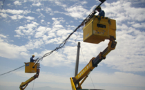 service_pic01