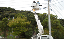 service_pic01