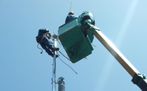 service_pic01