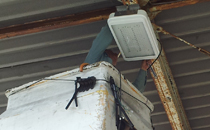service_pic01