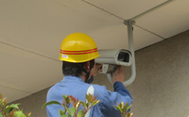 service_pic01