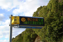 service_pic01