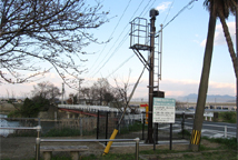service_pic01